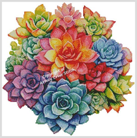 Rainbow Succulent Circle 2 (Artecy)