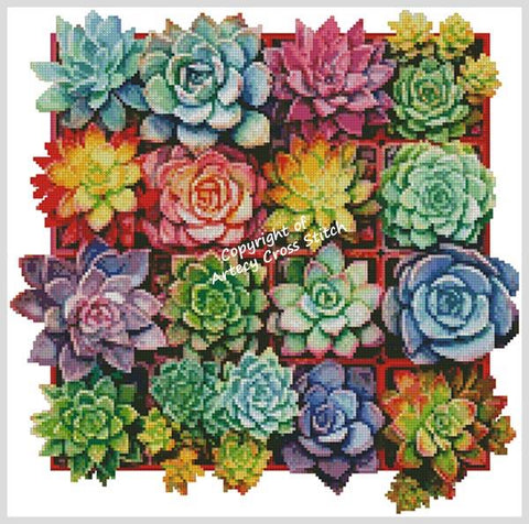 Rainbow Succulent Square (Artecy)
