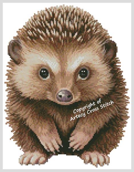Baby Echidna (Artecy)