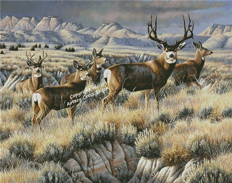 Up from the Coulee/Large (Artecy)