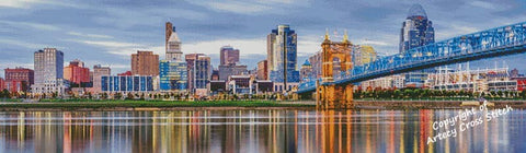 Cincinnati Skyline/Large (Artecy)