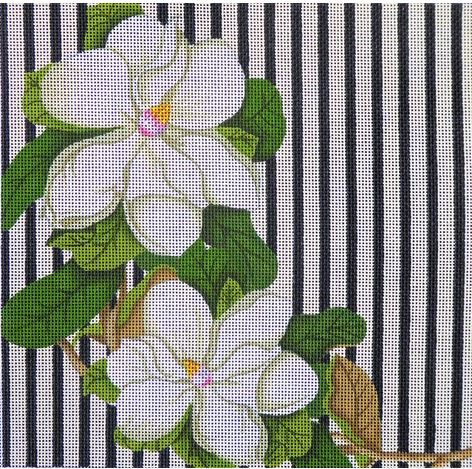 Striped Magnolia