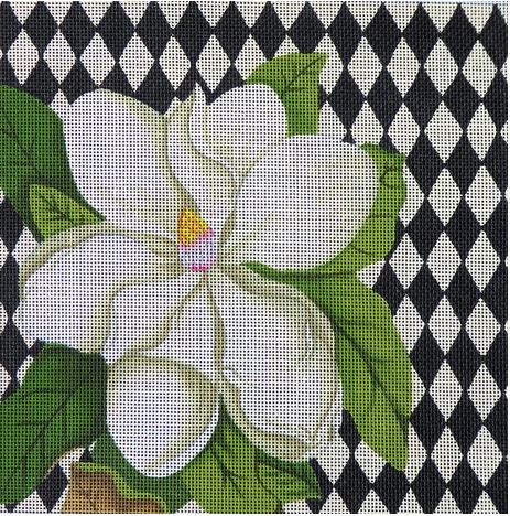 Harlequin Magnolia