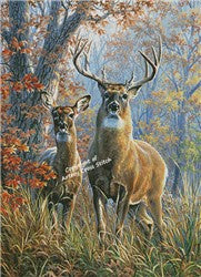 Forest Monarch/Large (Artecy)