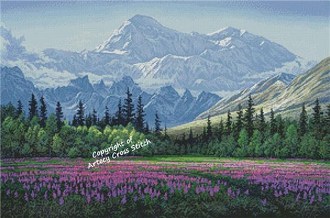 Denali Field of Dreams (Artecy)