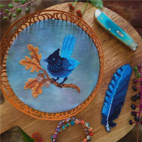 Steller's Jay (BAD Stitch)