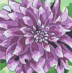 Large Purple Dahlia (Jean Smith)