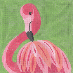 Primping Flamingo