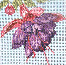 Fuschia