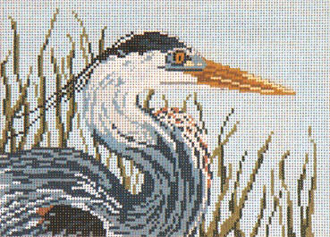 Great Blue Heron Head - 18M
