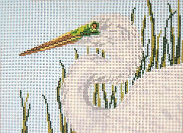 Great Egret Head   - 13M