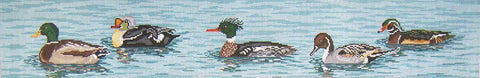 Swimming Ducks