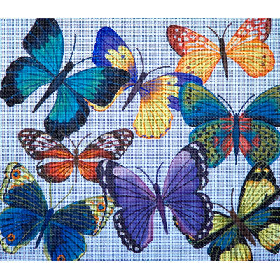 Butterfly Heaven