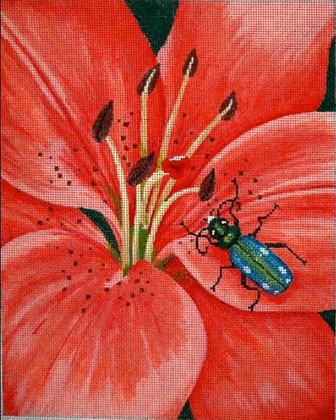 Tiger Lily & Tiger Bug