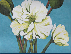 White Poppy Delight