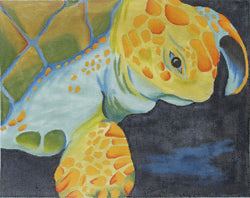 Sea Traveler
