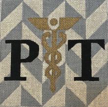 Physical Therapist