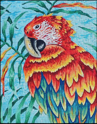 Scarlet Macaw & Ferns