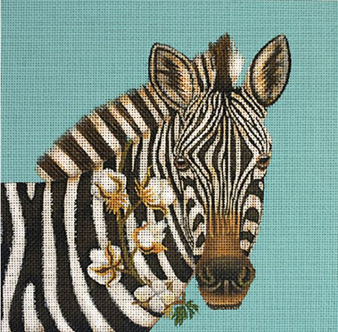 Southern Zebra - 18M