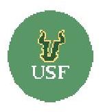 University of South Florida