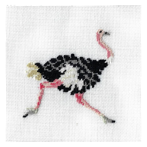 African Ostrich (Stitchtent)