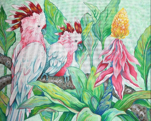 Mitchells Cockatoos