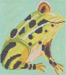 Tree Frog