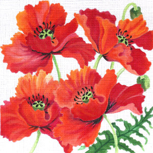 Poppies Revisited