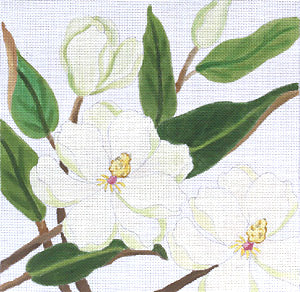 Magnolias Revisited