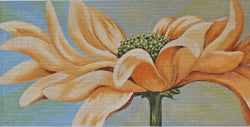 Morning Daisy - Yellow Gerber Daisy