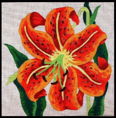 Tiger Lily