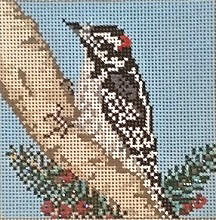 Downy Woodpecker