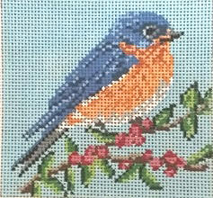 Eastern Bluebird