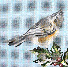 Tufted Titmouse