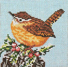 Carolina Wren