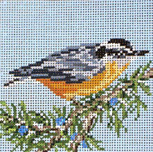 Red-Breasted Nuthatch