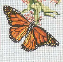 Monarch Butterfly