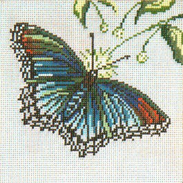 Red Spotted Purple