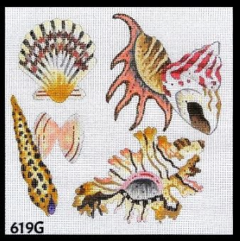 Seashells