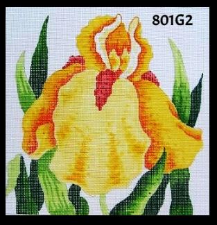 Yellow Iris