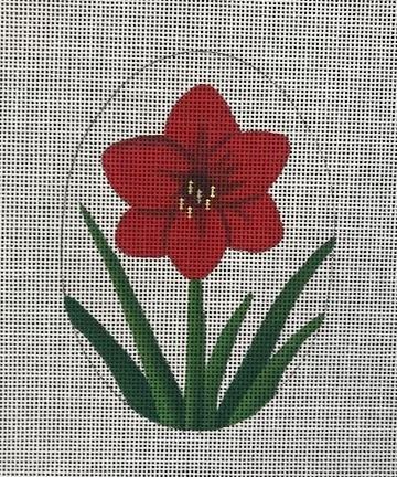 Amaryllis