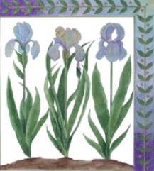 Three Irises