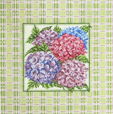 Hydrangeas w/Plaid Border