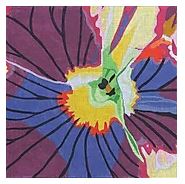 Purple Pansy Face