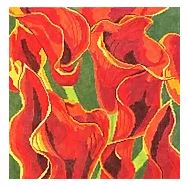 Red Calla Lily