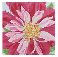 Painted Dahlia