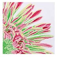 Pink & Green Fringed Mum