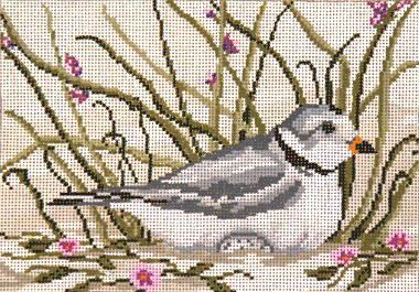 Piping Plover