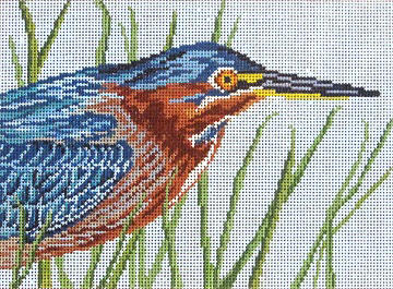 Green-Backed Heron