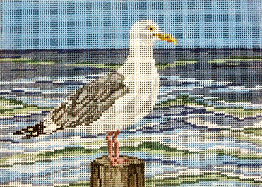 Lone Gull